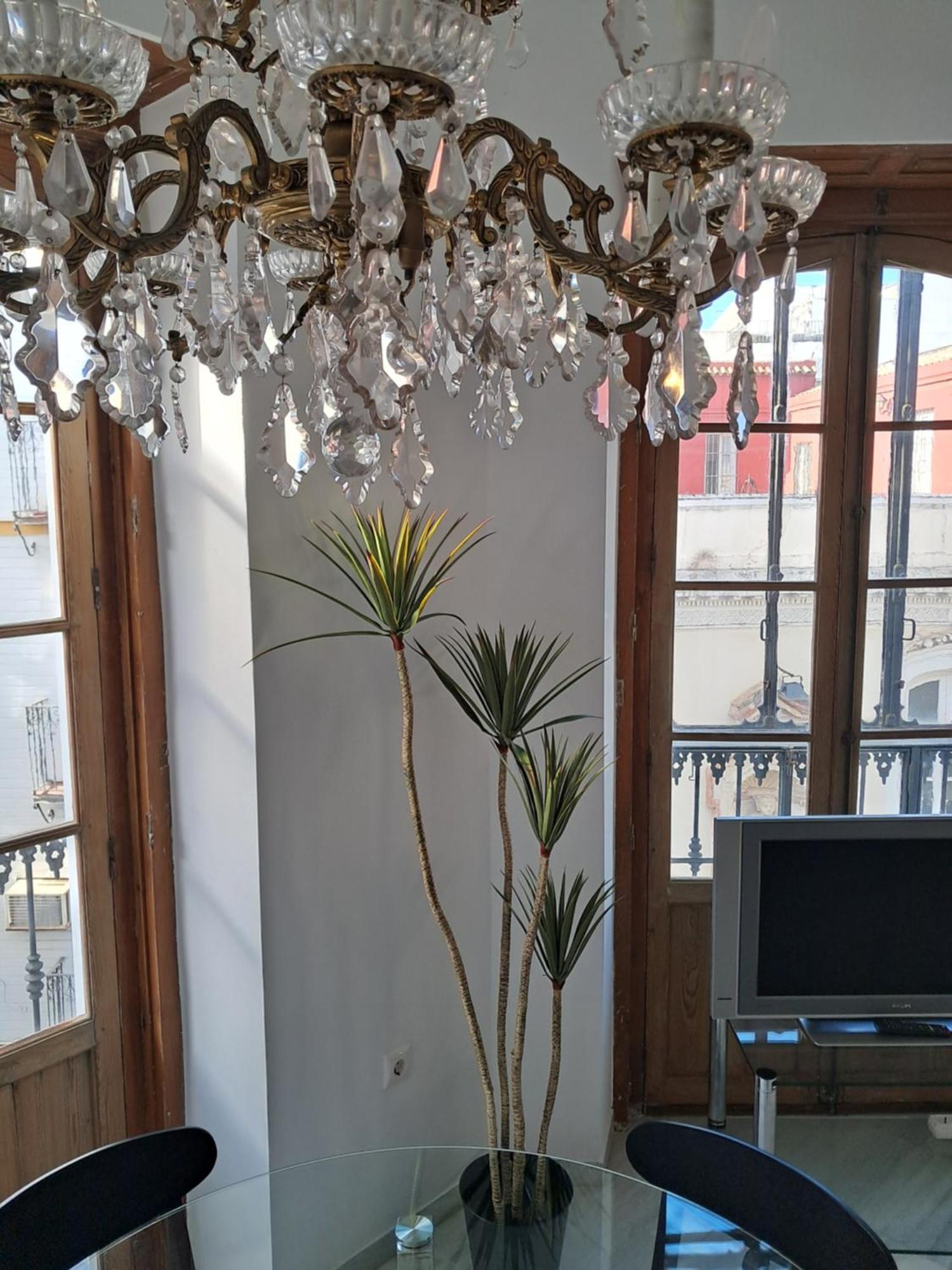 Apartamentos Almirante Hoyos Σεβίλλη Εξωτερικό φωτογραφία